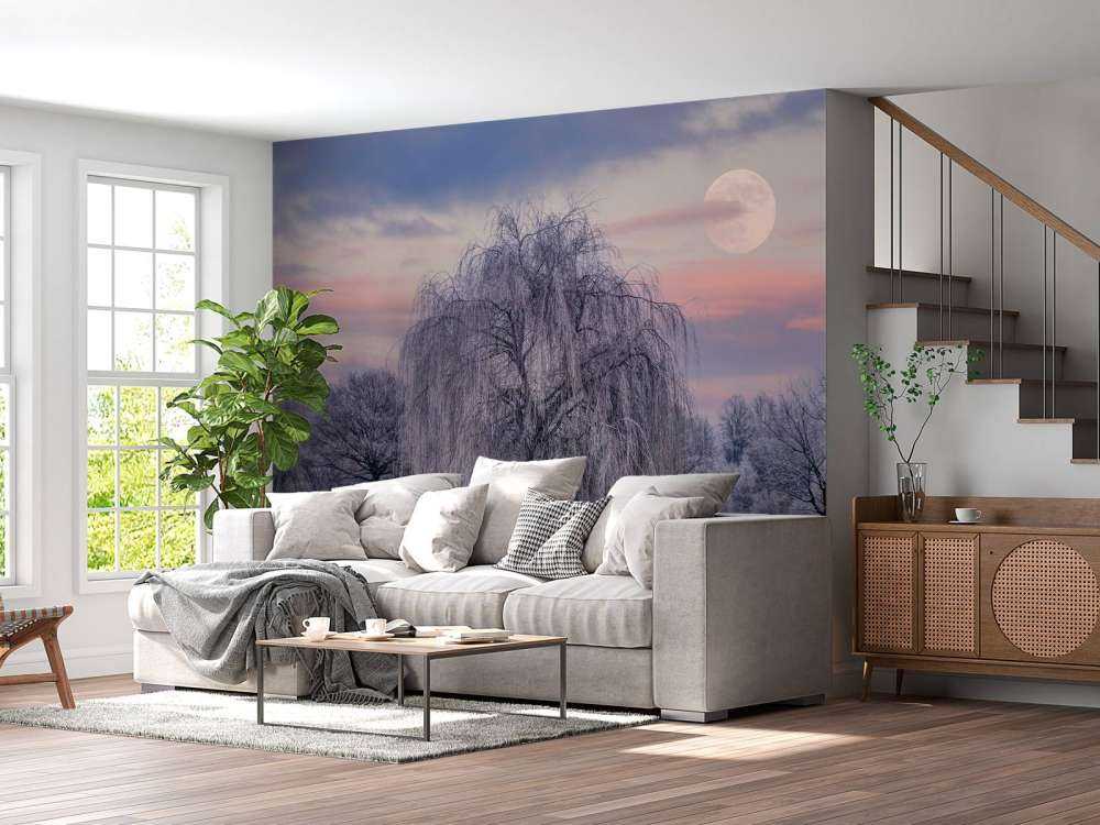 Boom bedekt met vorst