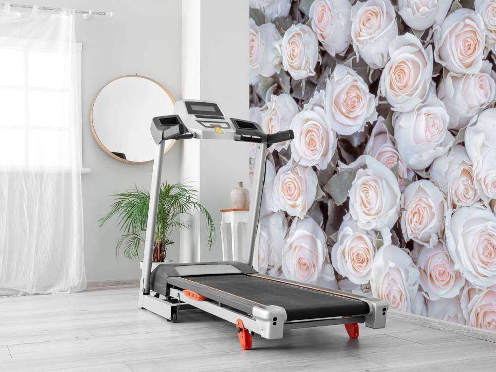 Licht gekleurde rozen