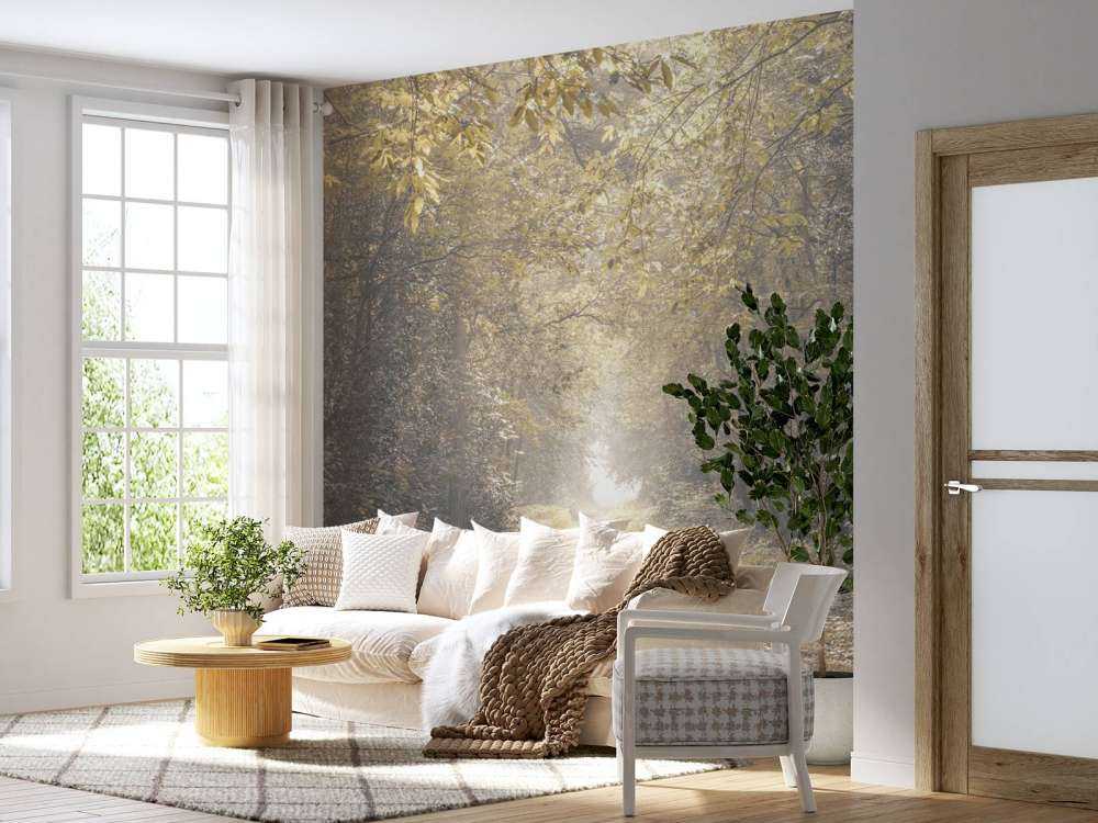 Pad door een verlaten bos