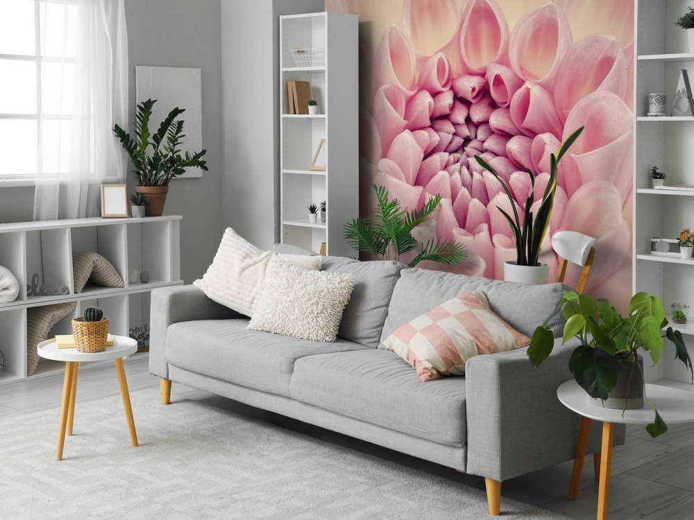 Dahlia close-up foto