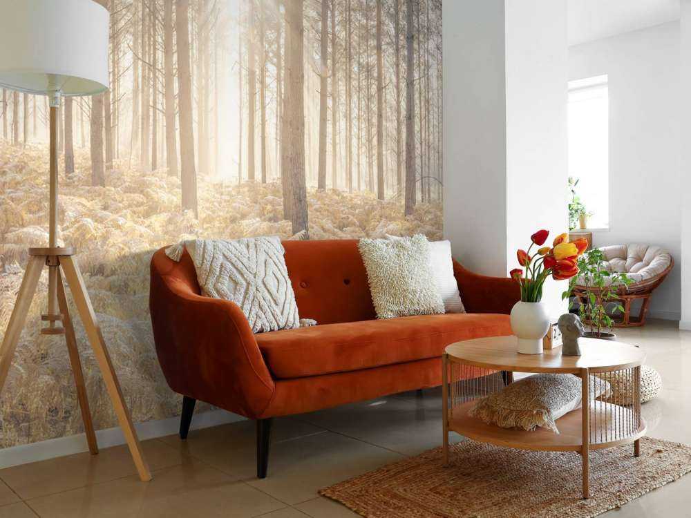 Zonnestralen in het koude bos