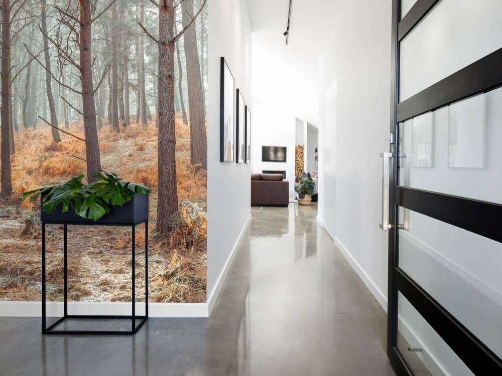 Bos tijdens de herfst