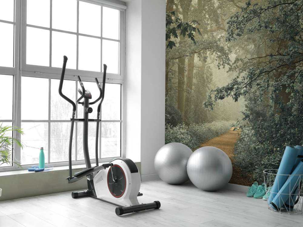 Pad door bos met mist