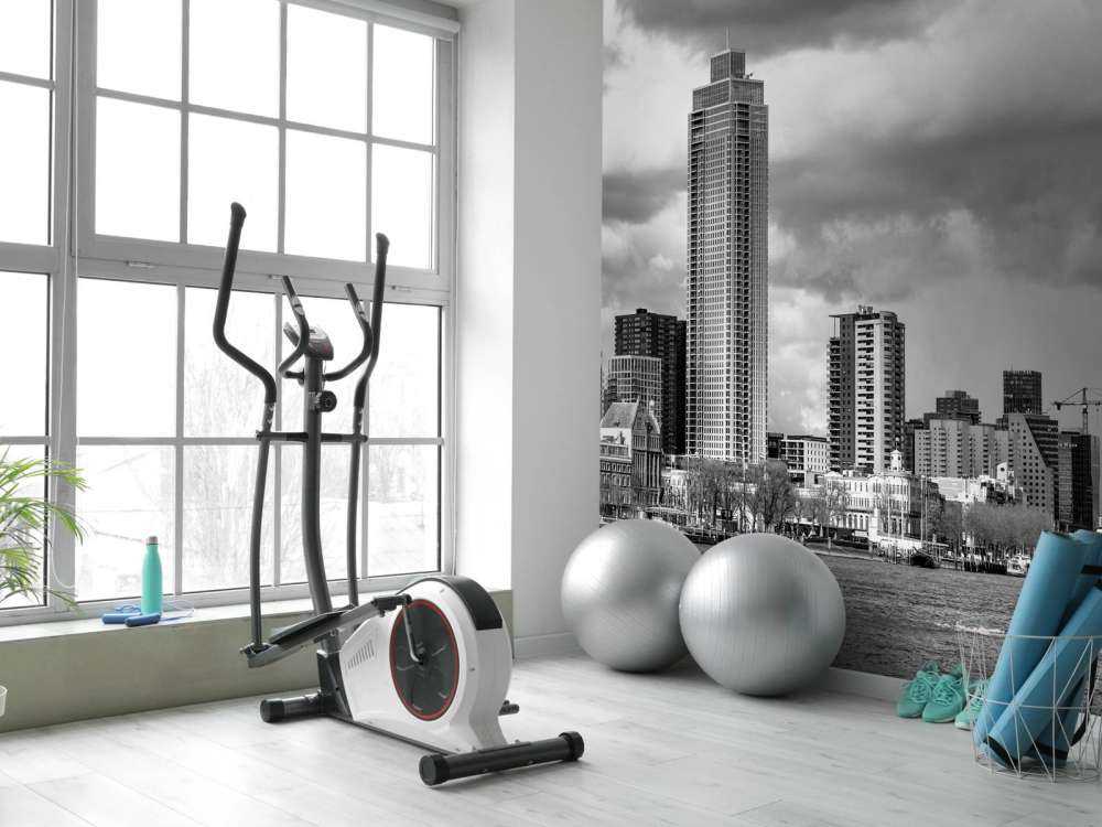 Skyline Rotterdam (Westerkade) vanaf Katendrecht (zwart wit) 