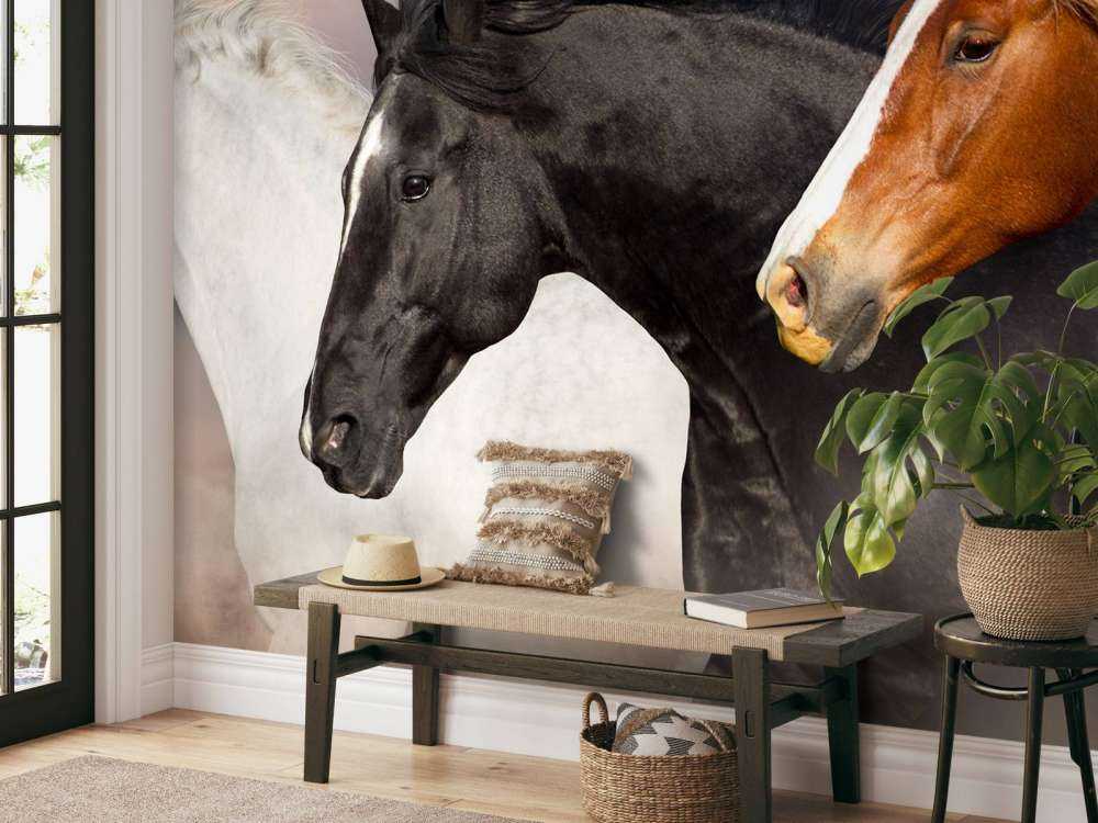 Kudde paarden