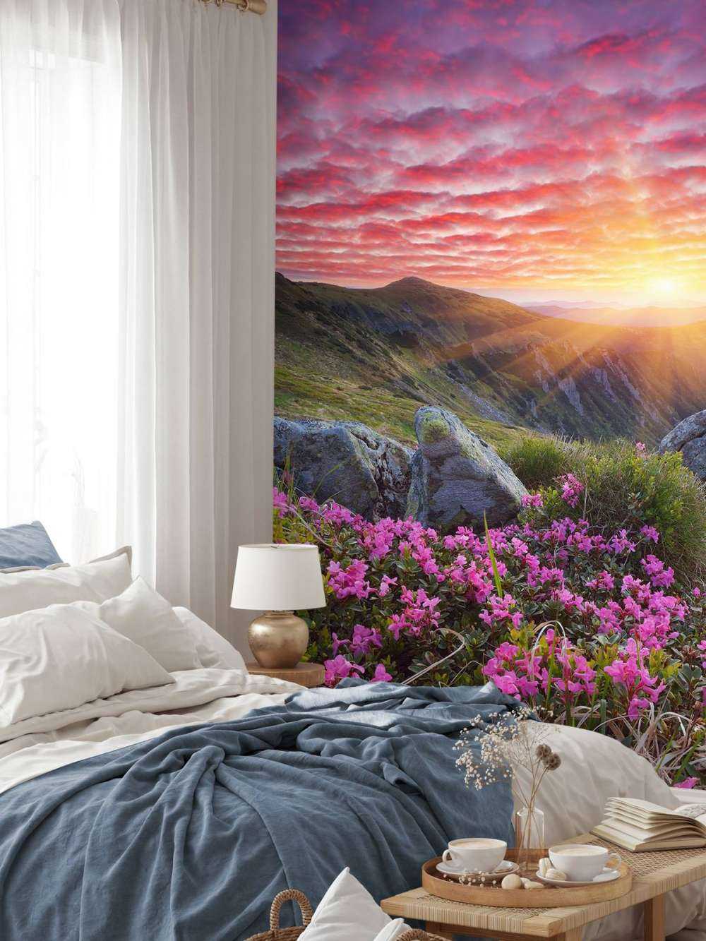 Paarse zonsondergang