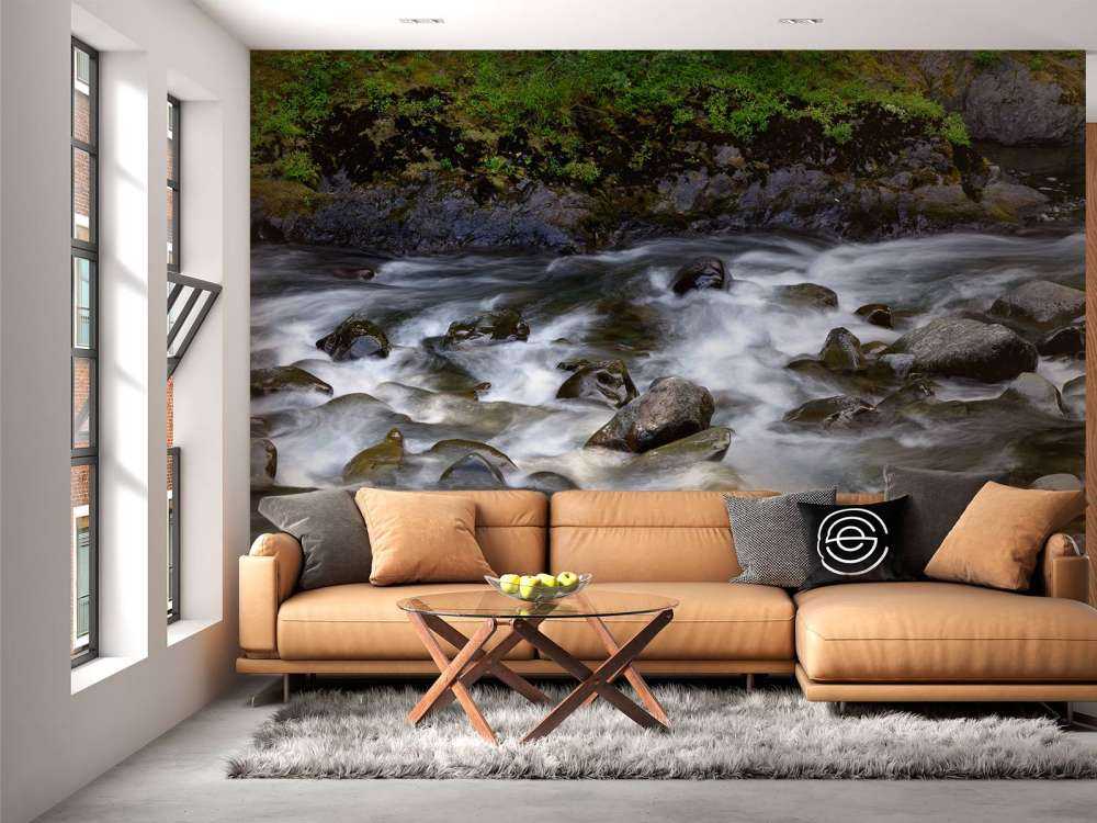 Rivier met rotsblokken