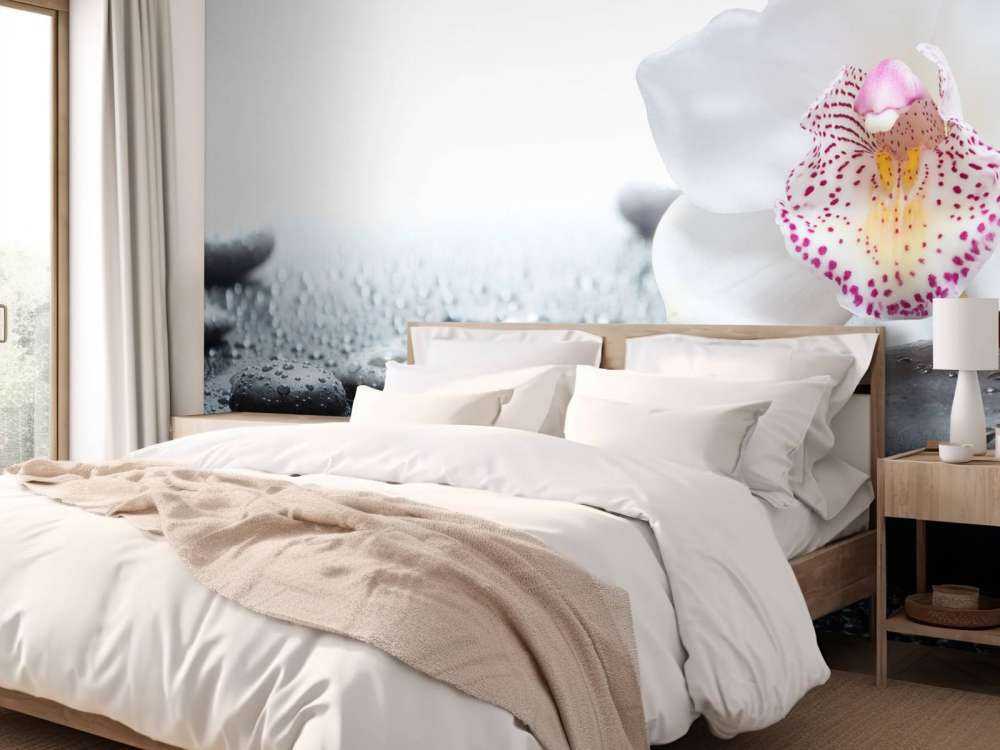 Witte orchidee