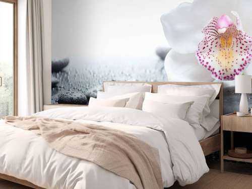 Witte orchidee