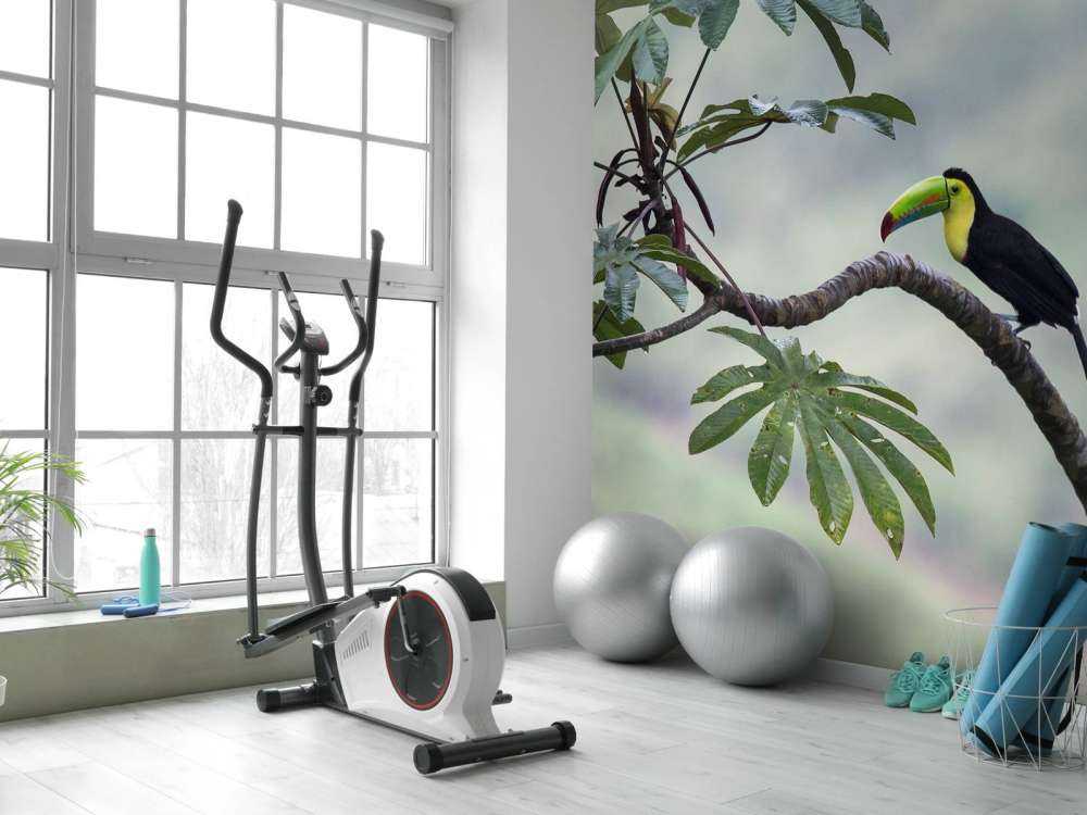 Exotische vogel op een tak