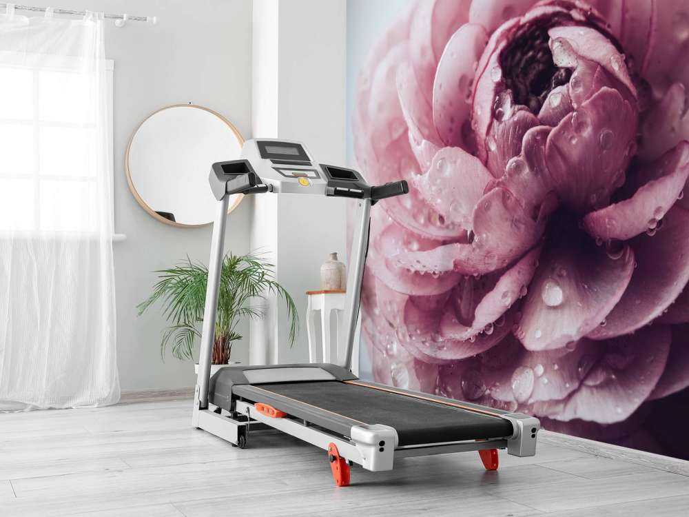 Roze boterbloem close-up