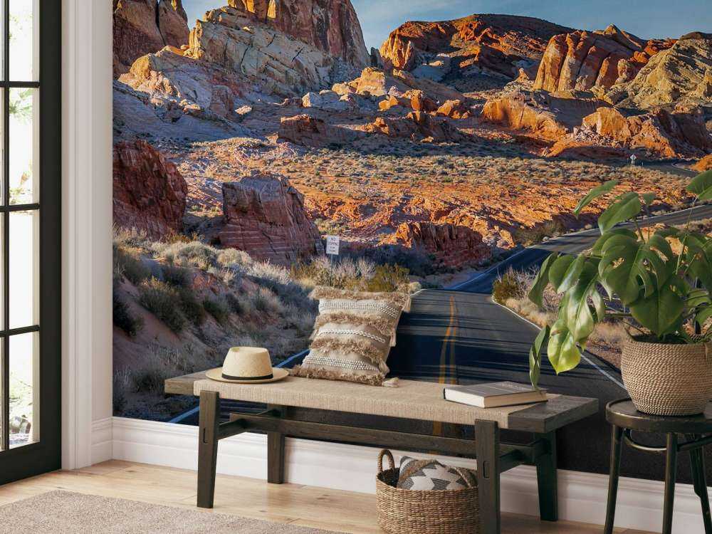 Weg door de Nevada woestijn