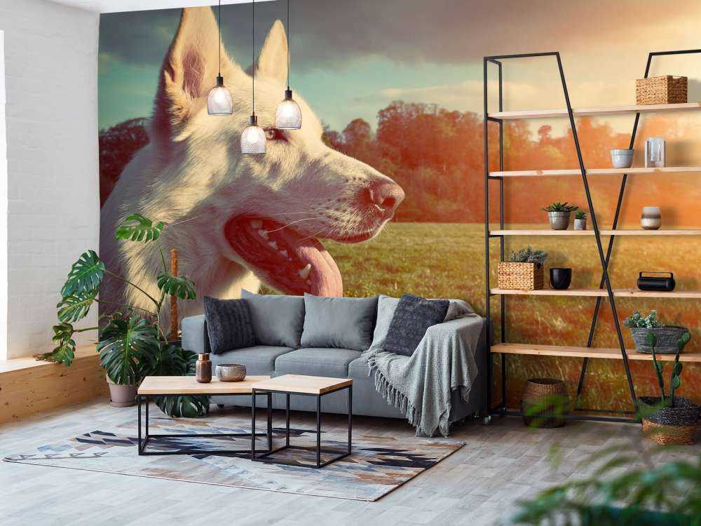 Grote witte hond bij zonsondergang