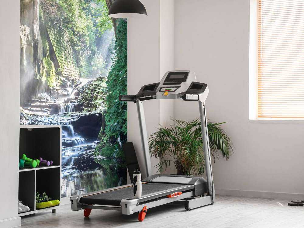 Opening in een regenwoud