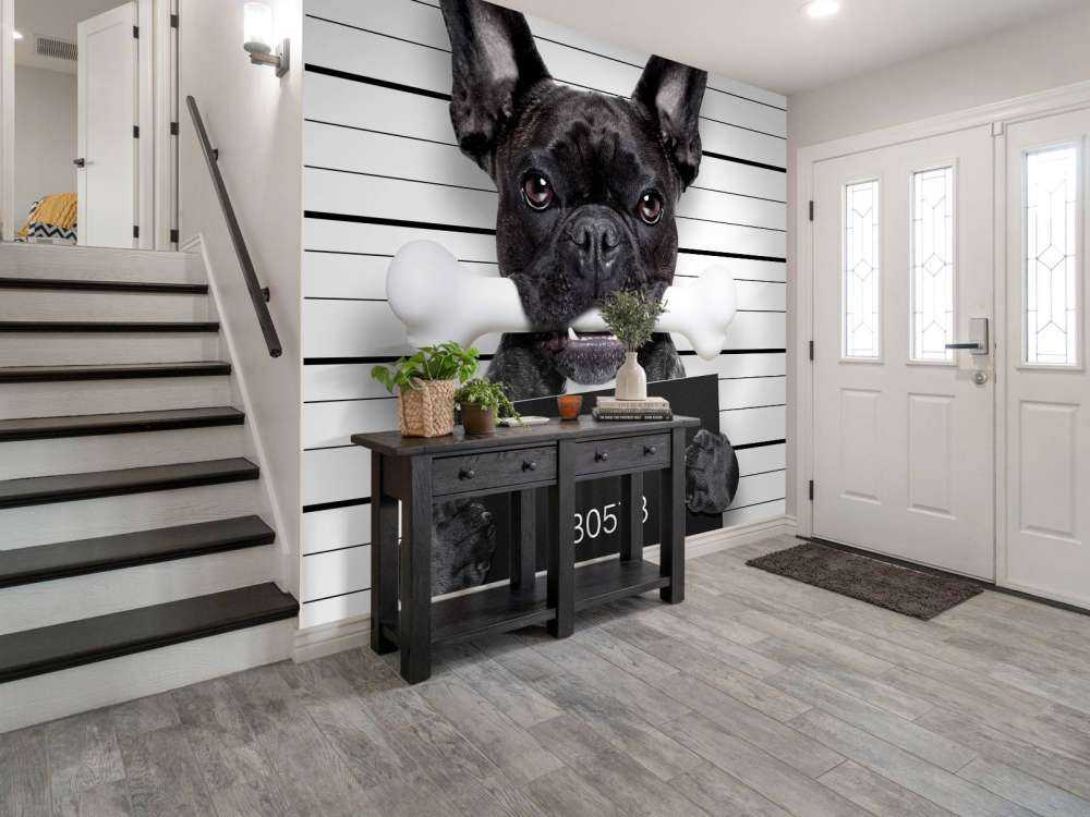 Franse Bulldog in de gevangenis