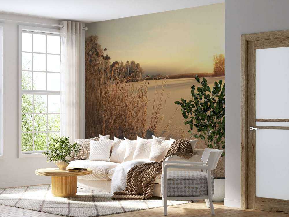 Riet op het strand bij zonsondergang