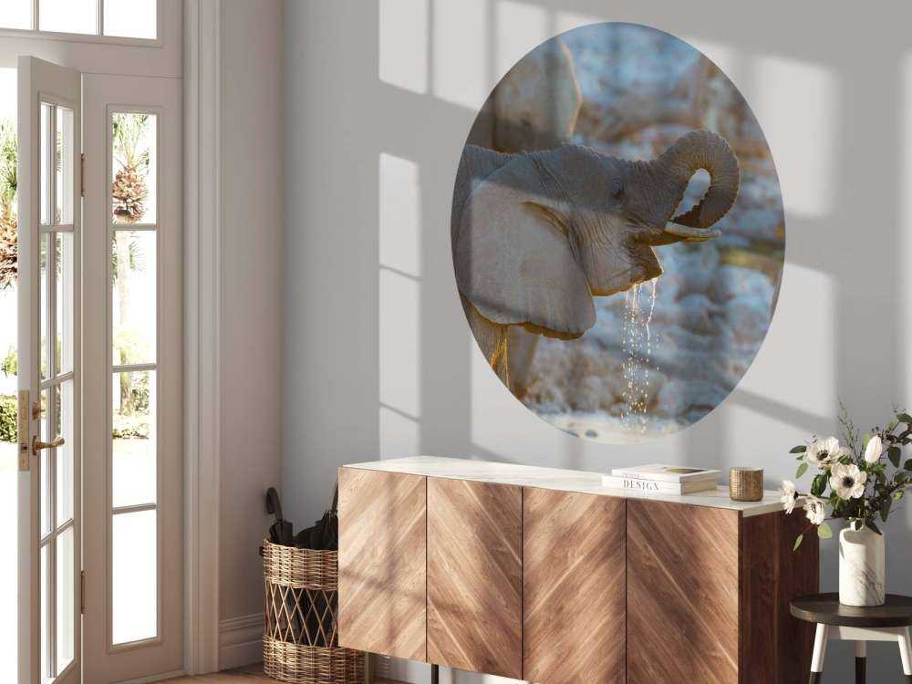 Olifanten drinken water