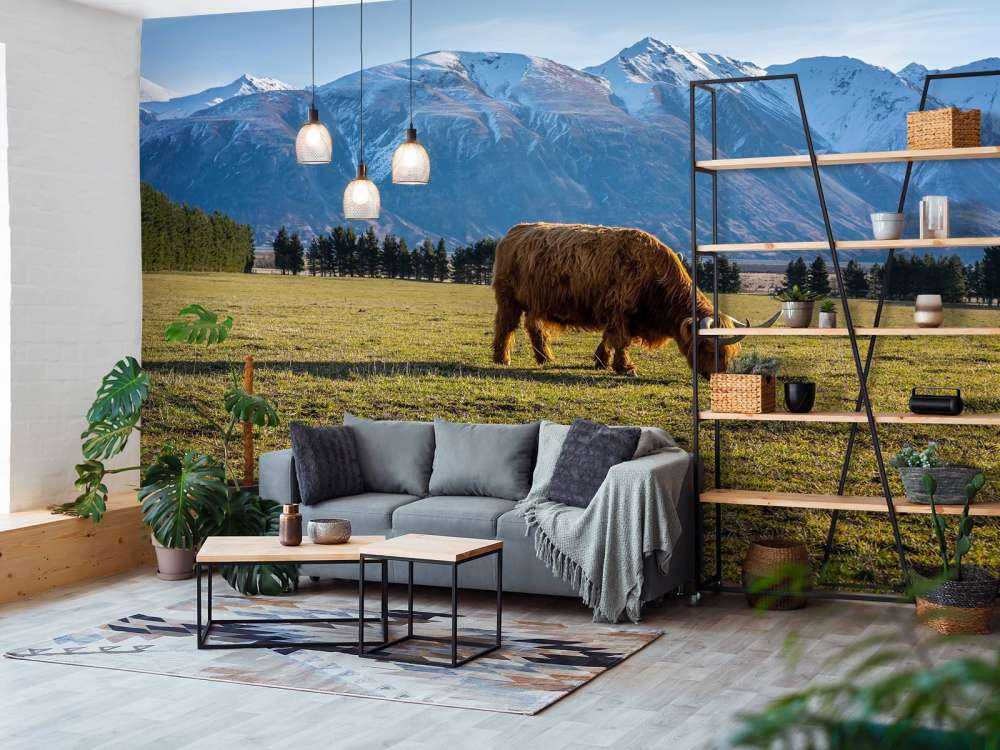 Hooglander met ingesneeuwde bergen