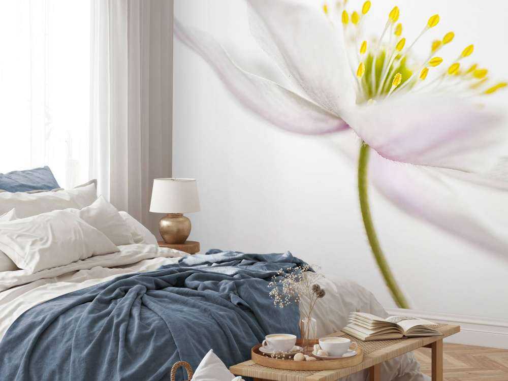 Beautiful Nemorosa**