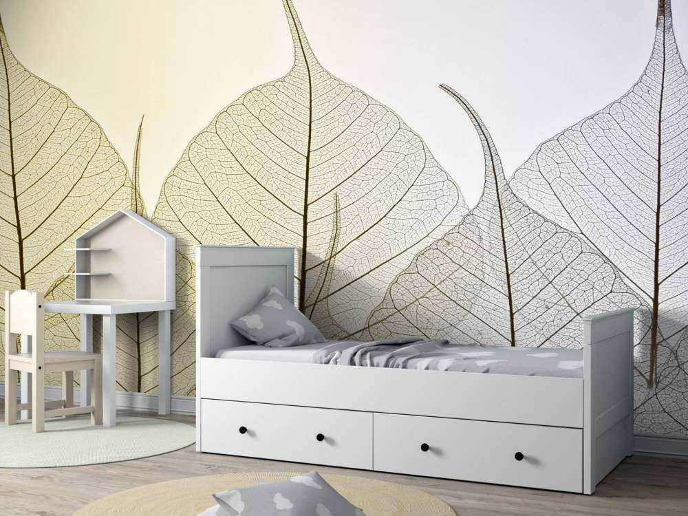 Skeleton leaves on coloured background