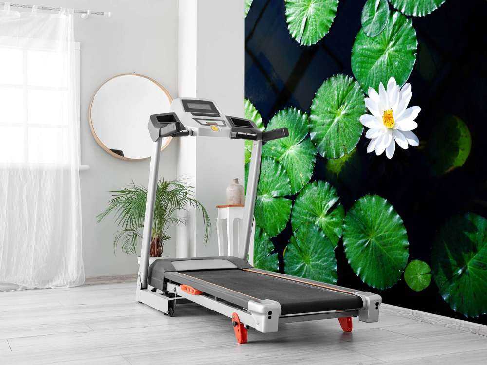 Opvallende witte kleine lotusbloem