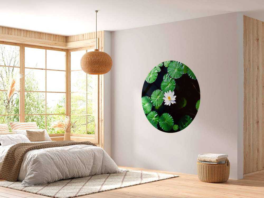 Opvallende witte kleine lotusbloem