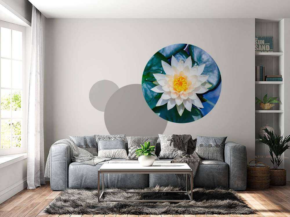 Witte lotusbloem met gele kern