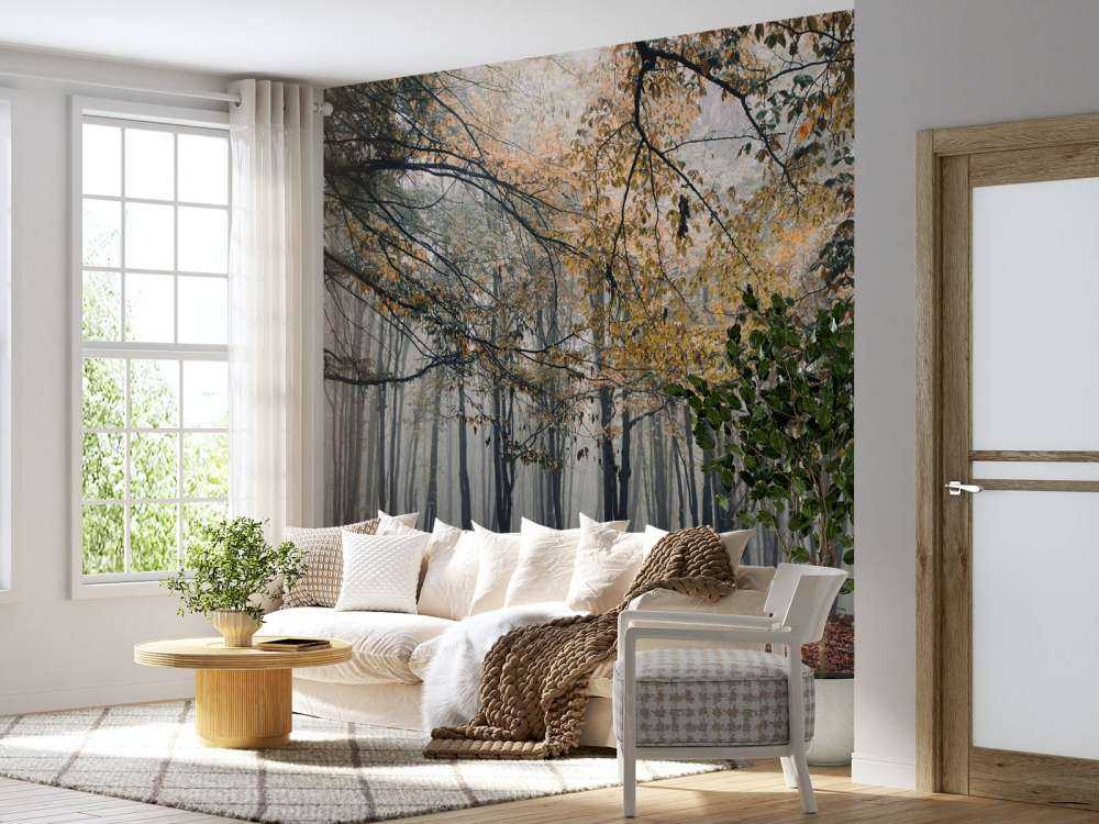 Mistig Herfst Bos met veel Bomen