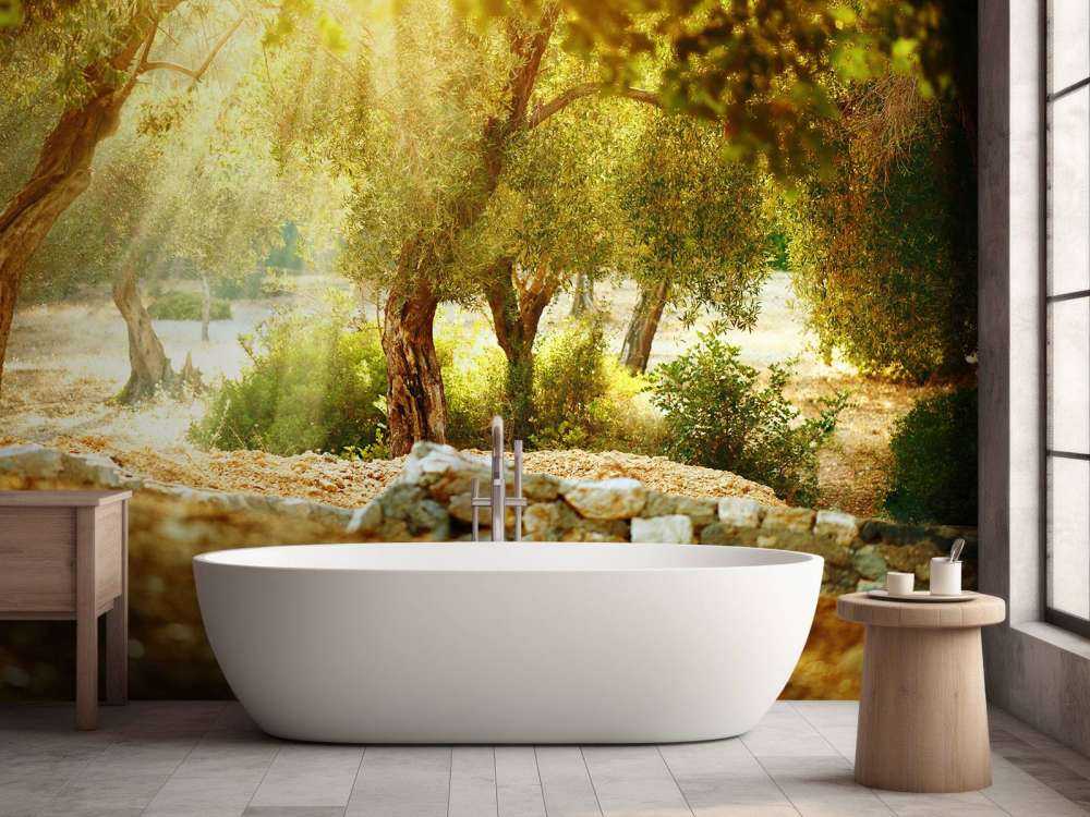 Mediterrane Olijven Boomgaard