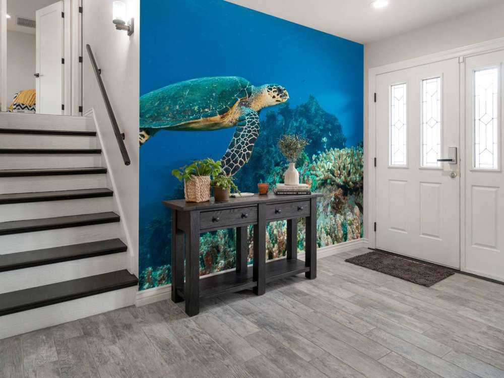 Karetschildpad bij een koraalrif