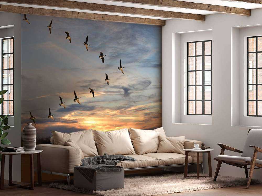 Grote Canadese ganzen in V-formatie