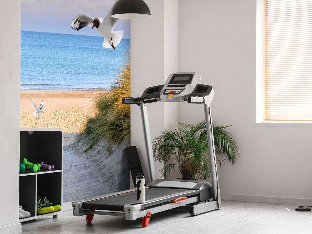 Meeuwen langs de Baltische kust