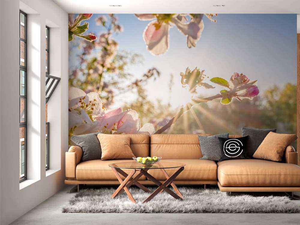 Felle Zon achter Bloesem takjes