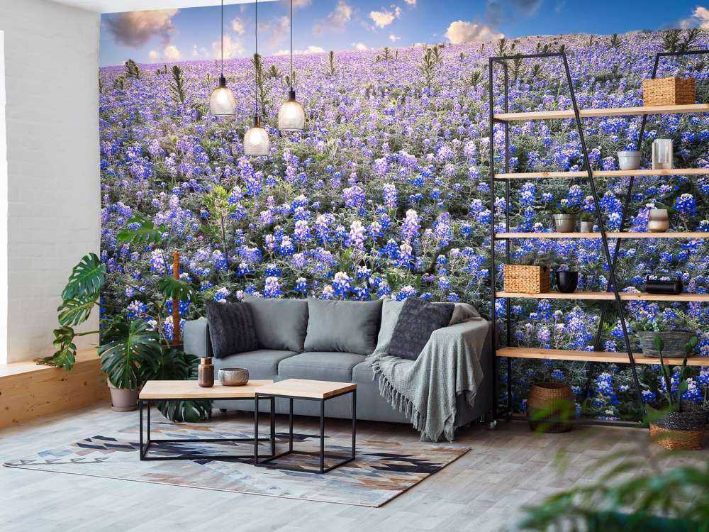 Hortensia veld in Texas