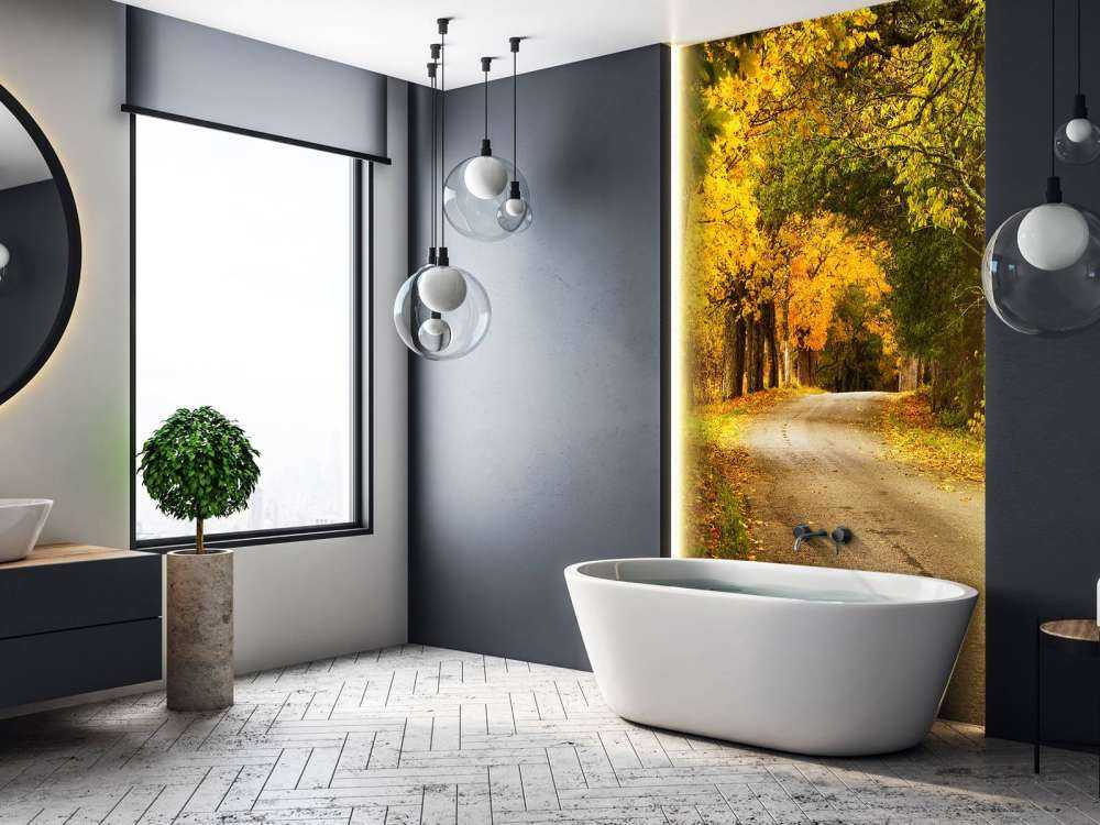 Weg met Bomen in de Herfst