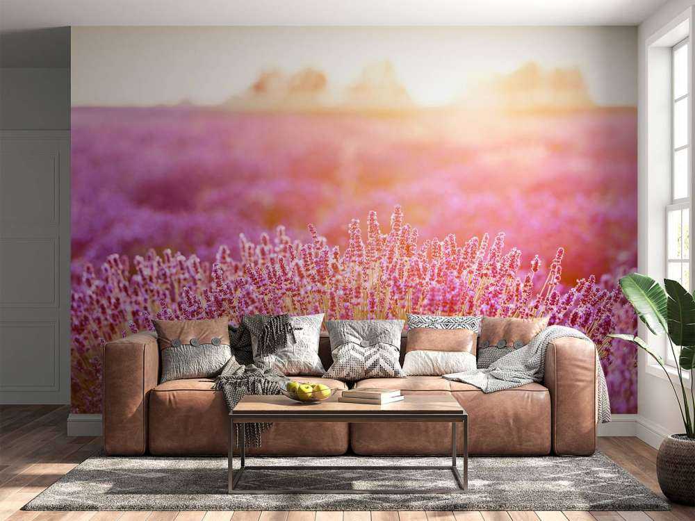 Close-up lavendel bloemen