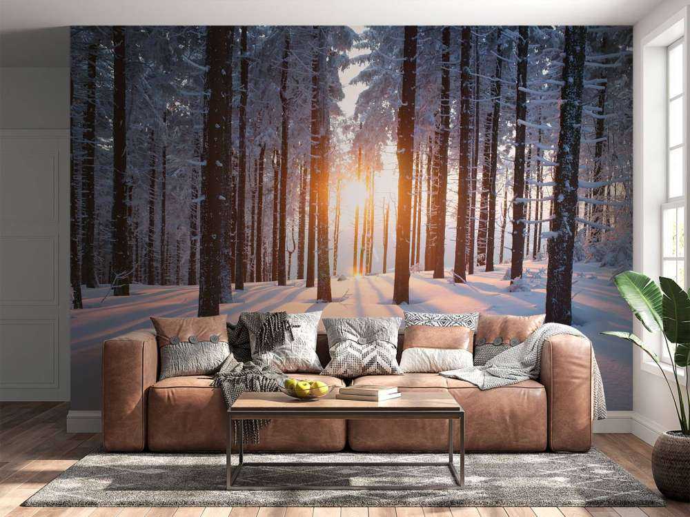 Zonsondergang in een winterbos