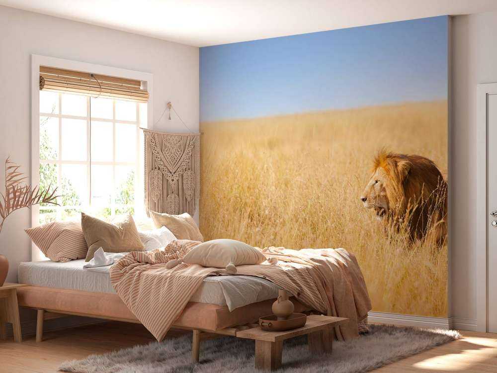 Afrikaanse leeuw op zoek naar een prooi