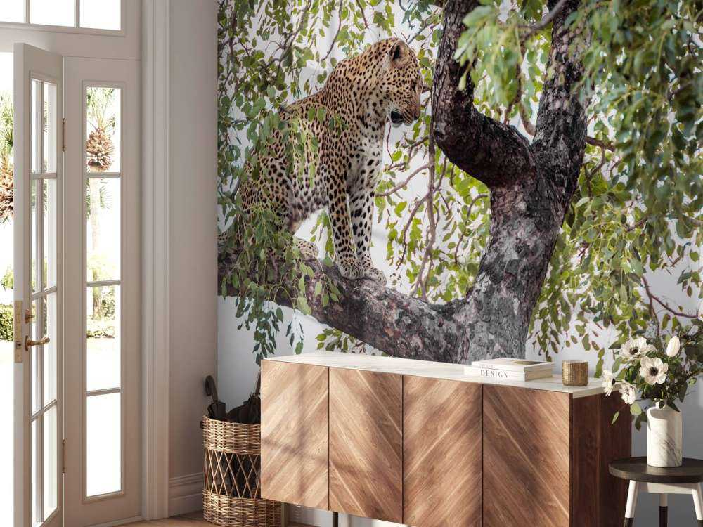 Luipaard in Kruger National Park