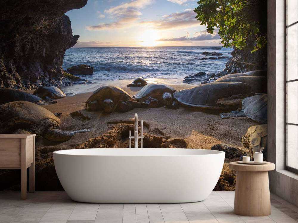 Schildpadden in een grot