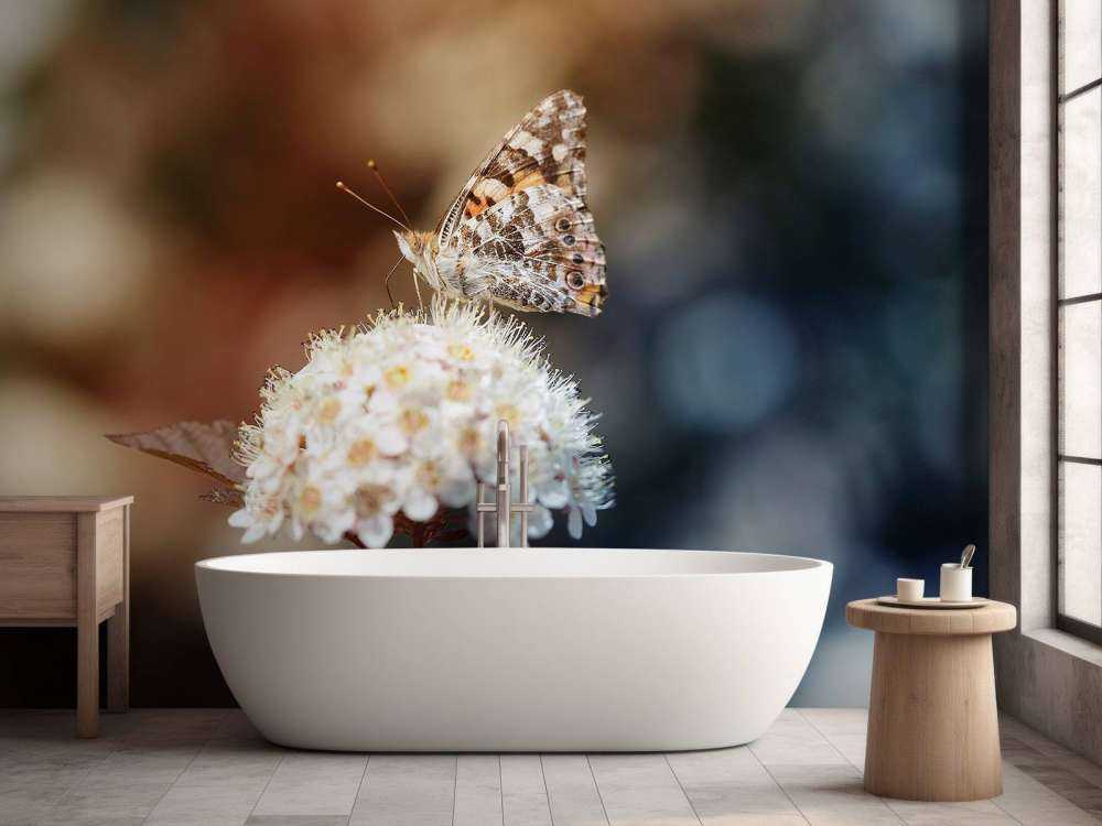 Vlinder op witte bloem