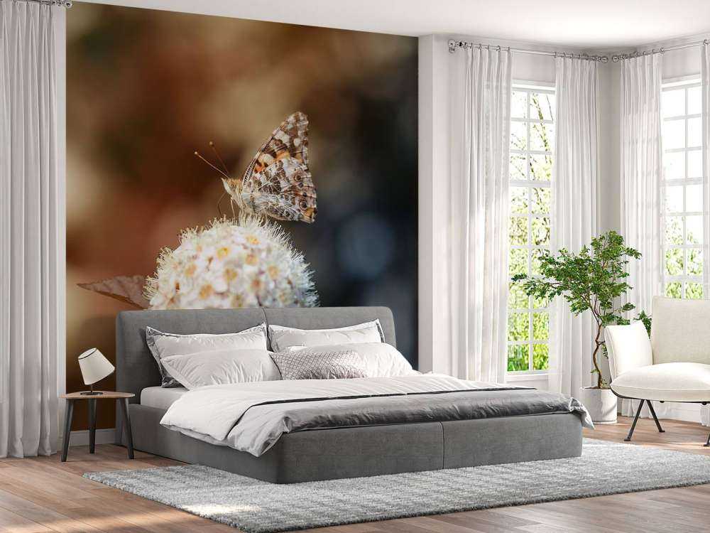 Vlinder op witte bloem