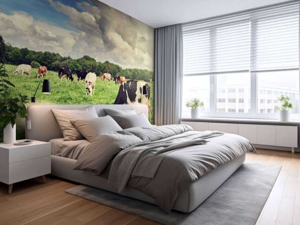 Koeien grazen in weide