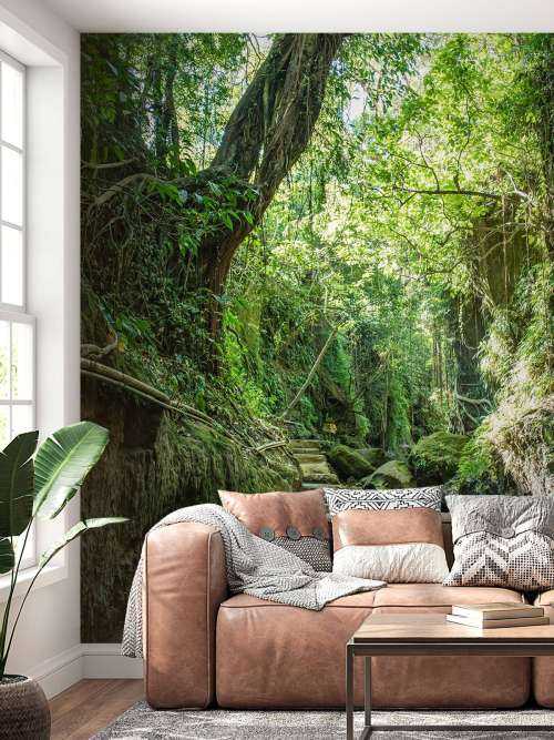 Pad door de jungle