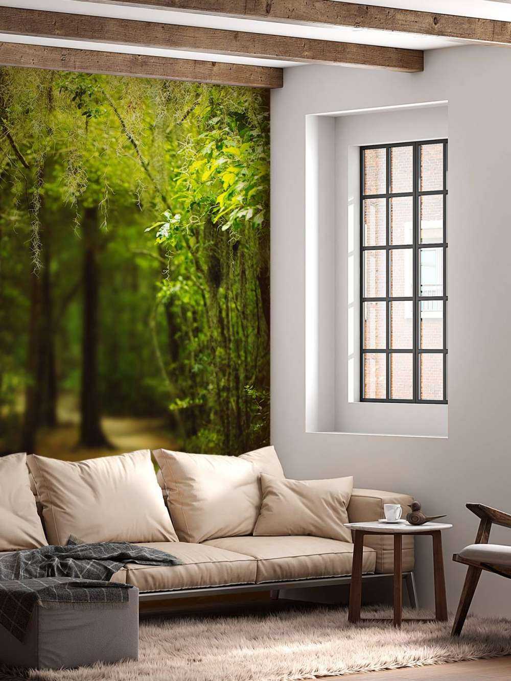 Spaans bos vol met mos