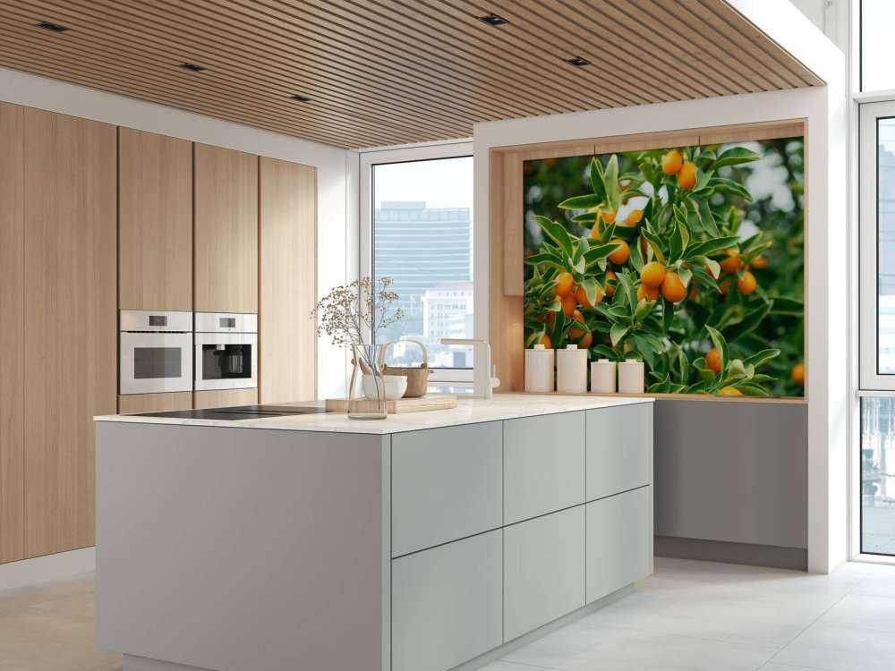 Fruitboom 