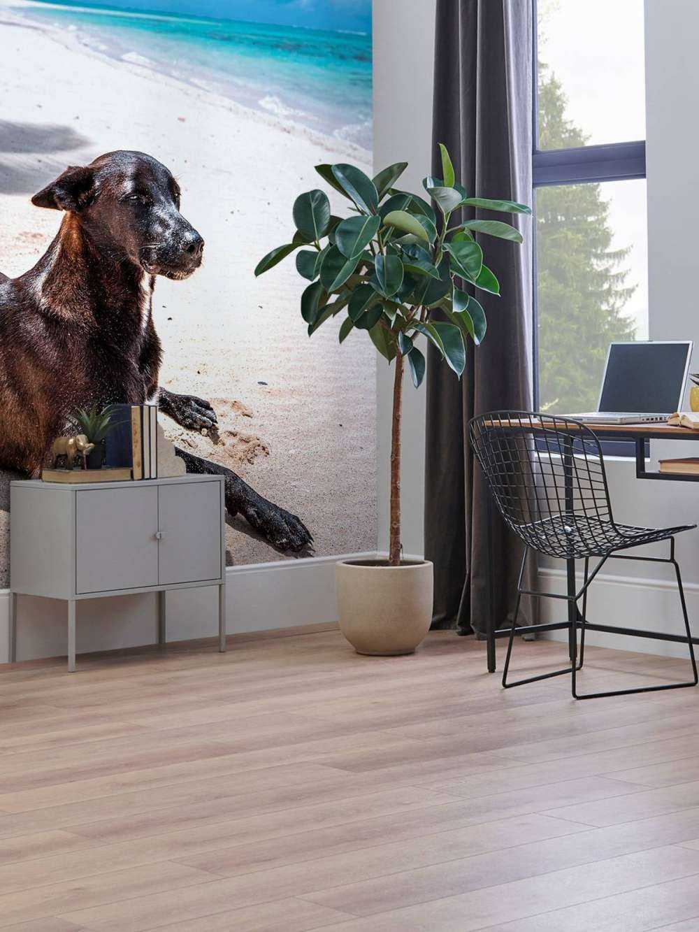 Zwarte hond aan tropisch strand