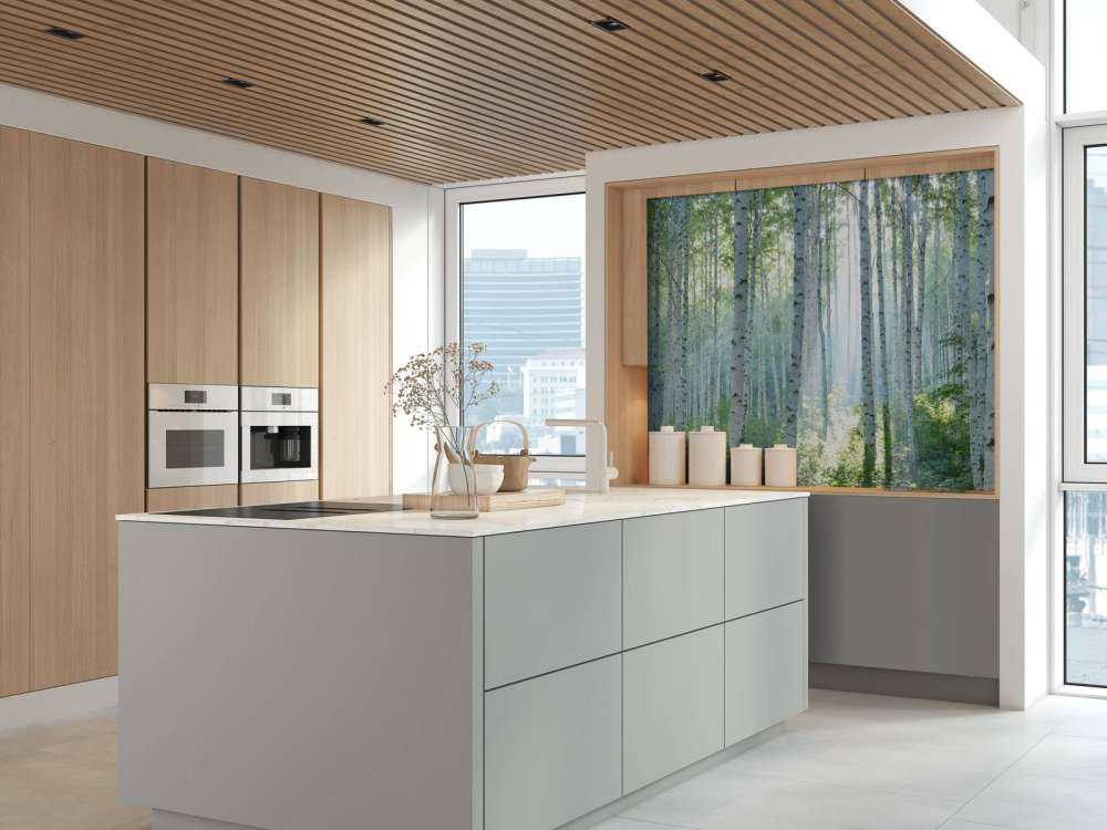 Berkenbos in ochtendlicht