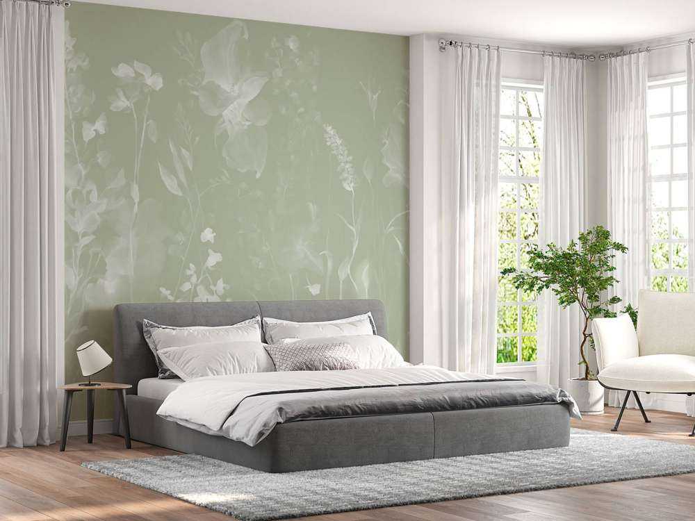 The softness of heart - olive