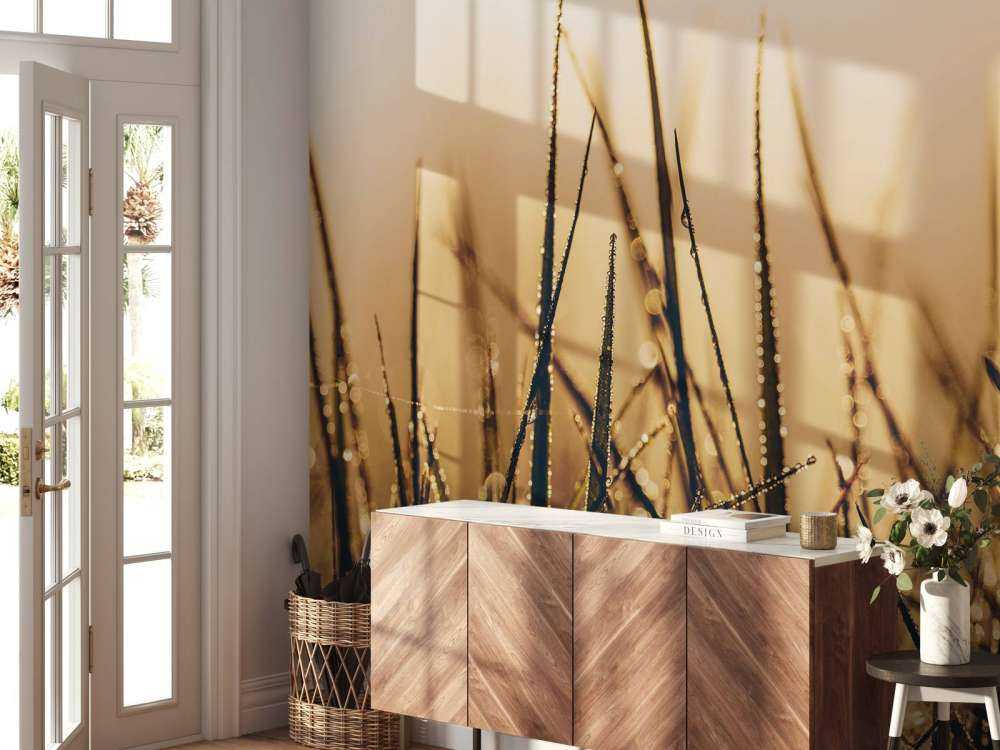 Sprankelend Dauwgras